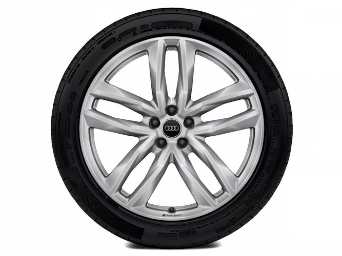 5-dobbelteget design (9,5J x 21"), Audi Sport